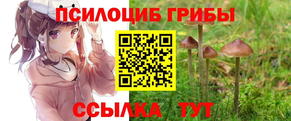 Галлюциногенные грибы Cubensis  Вход с VPN  как найти закладки  Грозный  Галлюциногенные грибы Cubensis 
