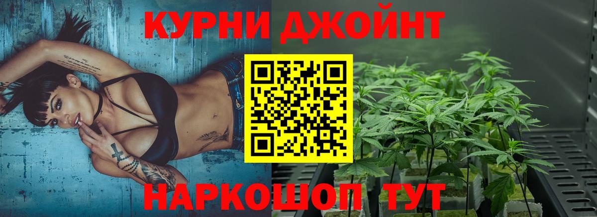 Марихуана OG Kush Грозный
